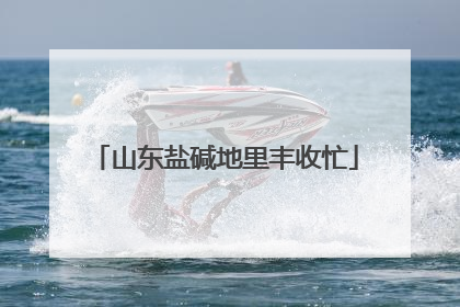 山东盐碱地里丰收忙