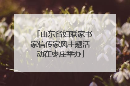 山东省妇联家书家信传家风主题活动在枣庄举办