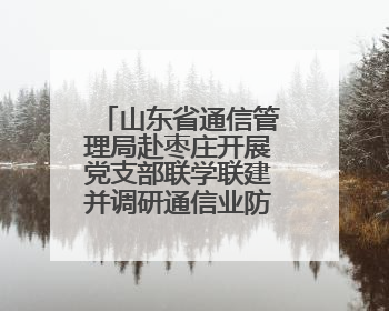 山东省通信管理局赴枣庄开展党支部联学联建并调研通信业防汛准备工作