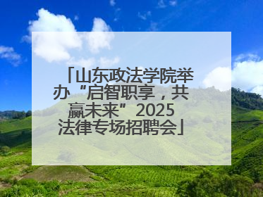 山东政法学院举办“启智职享，共赢未来”2025法律专场招聘会
