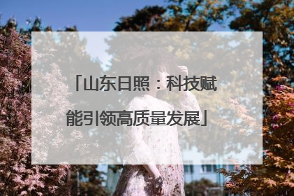山东日照：科技赋能引领高质量发展