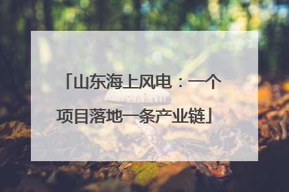 山东海上风电：一个项目落地一条产业链