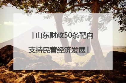 山东财政50条靶向支持民营经济发展