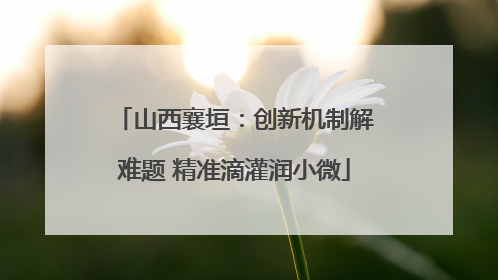 山西襄垣：创新机制解难题 精准滴灌润小微