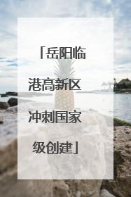 岳阳临港高新区冲刺国家级创建