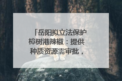 岳阳拟立法保护樟树港辣椒：提供种质资源需审批，违规最高罚5万