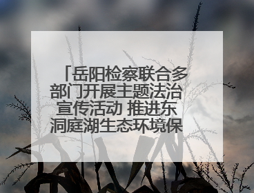 岳阳检察联合多部门开展主题法治宣传活动 推进东洞庭湖生态环境保护工作