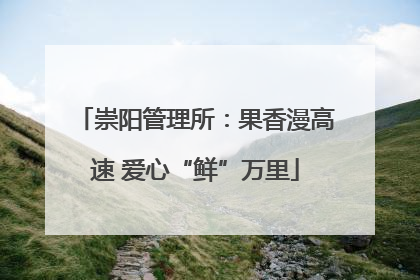 崇阳管理所：果香漫高速 爱心“鲜”万里