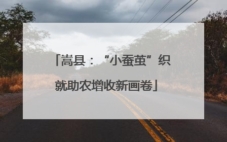 嵩县：“小蚕茧”织就助农增收新画卷