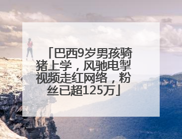 巴西9岁男孩骑猪上学，风驰电掣视频走红网络，粉丝已超125万
