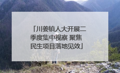 川姜镇人大开展二季度集中视察 聚焦民生项目落地见效