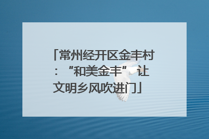常州经开区金丰村：“和美金丰” 让文明乡风吹进门