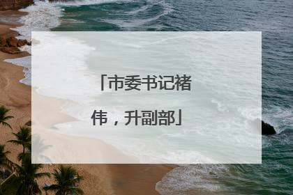 市委书记褚伟，升副部