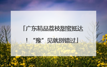 广东精品荔枝甜蜜抵达！“豫”见就别错过