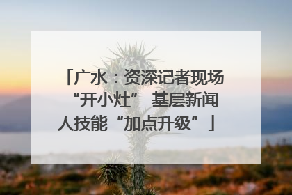 广水：资深记者现场“开小灶” 基层新闻人技能“加点升级”