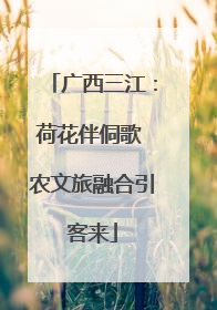 广西三江：荷花伴侗歌 农文旅融合引客来