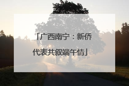 广西南宁：新侨代表共叙端午情