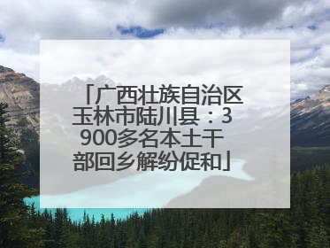 广西壮族自治区玉林市陆川县：3900多名本土干部回乡解纷促和
