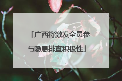 广西将激发全员参与隐患排查积极性