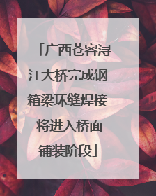 广西苍容浔江大桥完成钢箱梁环缝焊接 将进入桥面铺装阶段