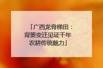广西龙脊梯田：背篓变迁见证千年农耕传统魅力