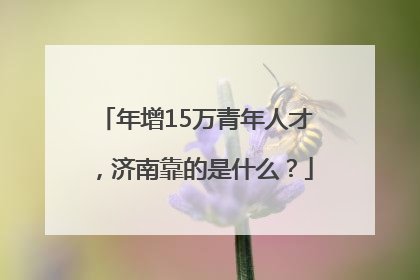 年增15万青年人才，济南靠的是什么？