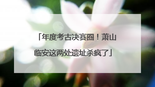 年度考古决赛圈！萧山临安这两处遗址杀疯了