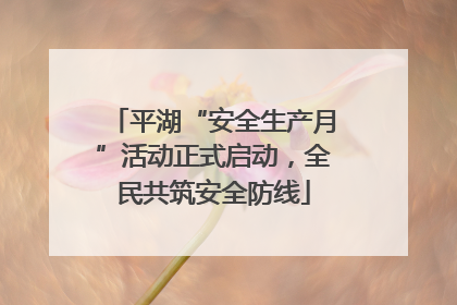 平湖“安全生产月”活动正式启动，全民共筑安全防线