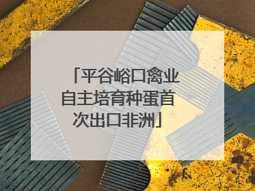 平谷峪口禽业自主培育种蛋首次出口非洲