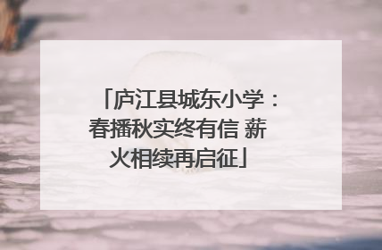庐江县城东小学：春播秋实终有信 薪火相续再启征