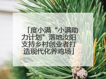 度小满“小满助力计划”落地汝阳支持乡村创业者打造现代化养鸡场