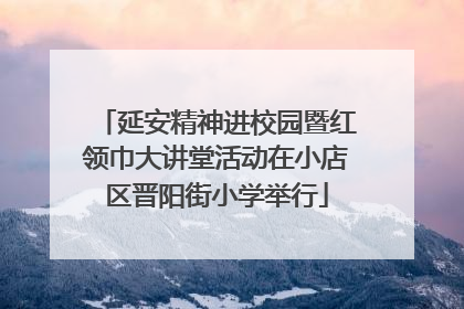 延安精神进校园暨红领巾大讲堂活动在小店区晋阳街小学举行