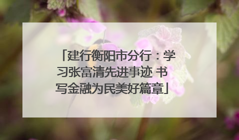 建行衡阳市分行：学习张富清先进事迹 书写金融为民美好篇章