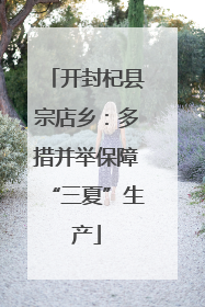 开封杞县宗店乡：多措并举保障“三夏”生产