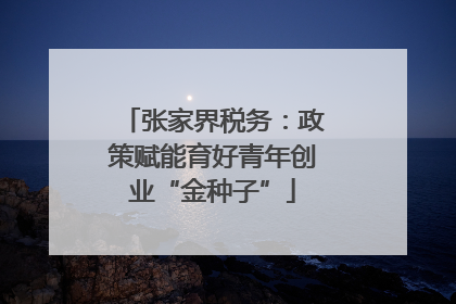 张家界税务：政策赋能育好青年创业“金种子”
