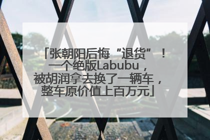 张朝阳后悔“退货”！一个绝版Labubu，被胡润拿去换了一辆车，整车原价值上百万元