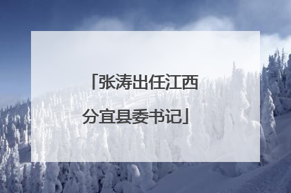 张涛出任江西分宜县委书记