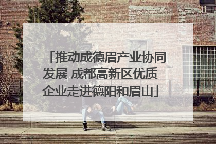 推动成德眉产业协同发展 成都高新区优质企业走进德阳和眉山