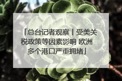 总台记者观察丨受美关税政策等因素影响 欧洲多个港口严重拥堵