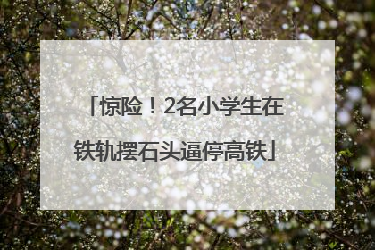 惊险！2名小学生在铁轨摆石头逼停高铁