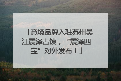 意境品牌入驻苏州吴江震泽古镇，“震泽四宝”对外发布！