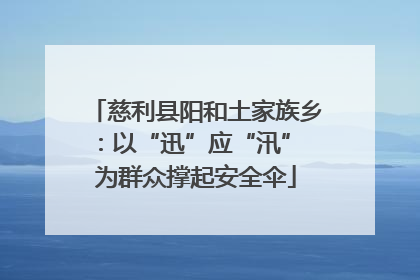 慈利县阳和土家族乡：以“迅”应“汛” 为群众撑起安全伞