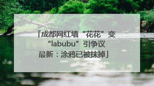 成都网红墙“花花”变“labubu”引争议 最新：涂鸦已被抹掉