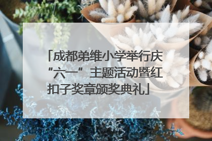 成都弟维小学举行庆“六一”主题活动暨红扣子奖章颁奖典礼