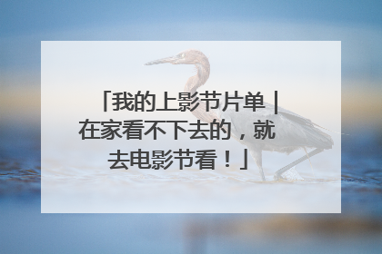 我的上影节片单｜在家看不下去的，就去电影节看！