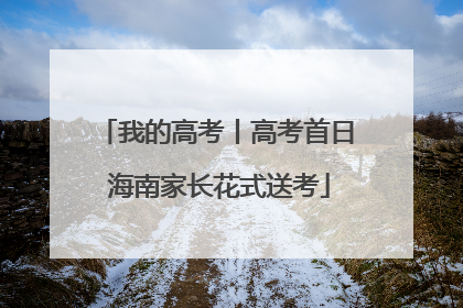我的高考丨高考首日 海南家长花式送考