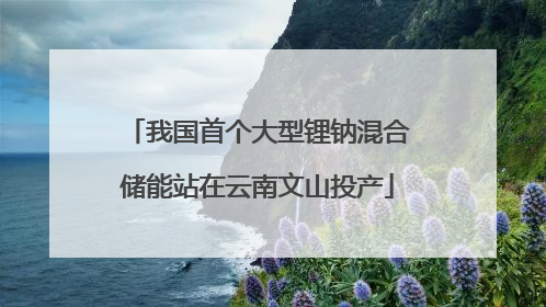 我国首个大型锂钠混合储能站在云南文山投产