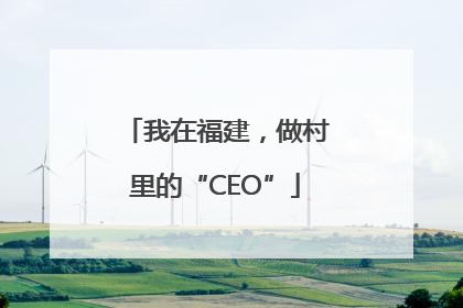 我在福建,做村里的“CEO”