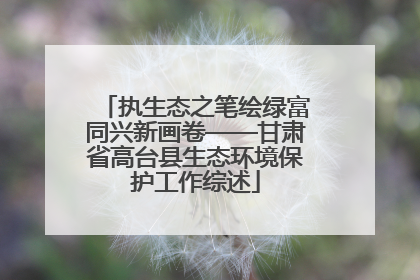 执生态之笔绘绿富同兴新画卷——甘肃省高台县生态环境保护工作综述