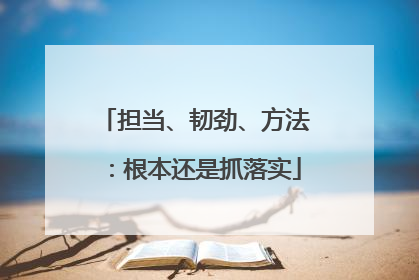 担当、韧劲、方法：根本还是抓落实